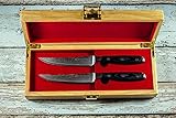 Stallion Damastmesser - Zwei Steakmesser aus Damaststahl in edler Geschenkbox - das ideale Geschenk für alle Freunde schöner Messer - 
