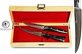 Stallion Damastmesser - Zwei Steakmesser aus Damaststahl in edler Geschenkbox - das ideale Geschenk für alle Freunde schöner Messer - 